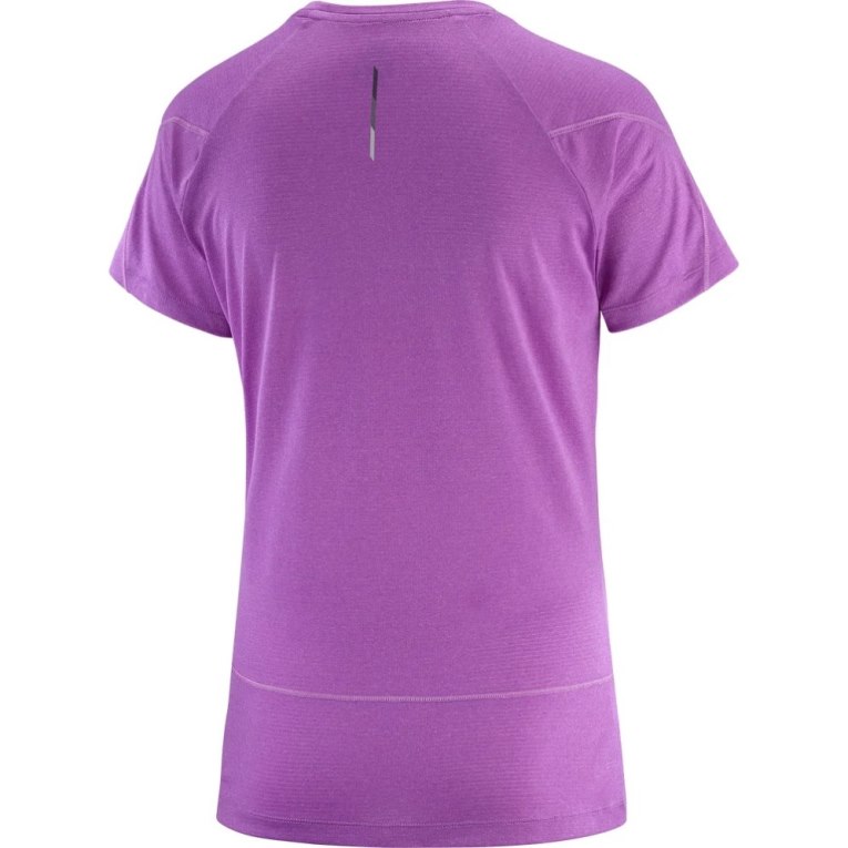 Camiseta Salomon Cross Run Curta Sleeve Feminino Lavanda | PT B74250